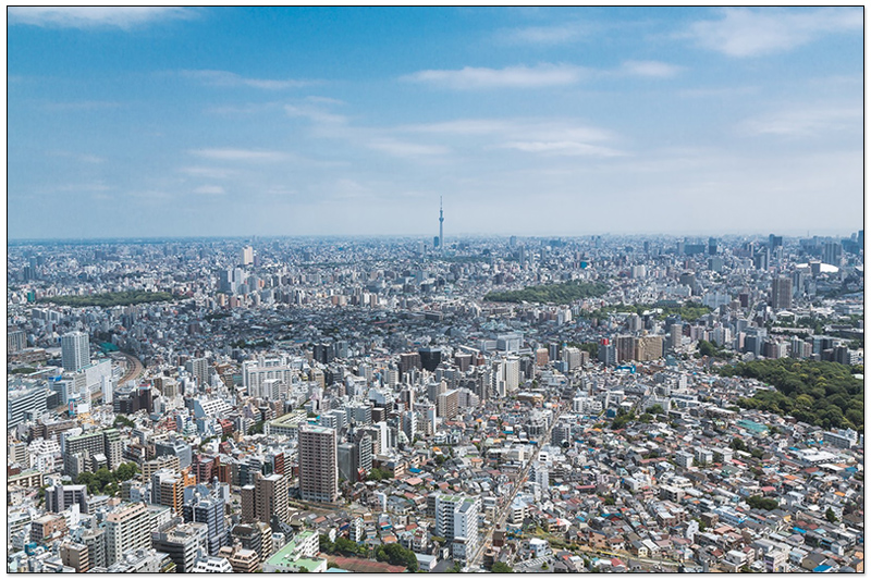 東京晴空塔市景